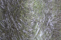Upper Bush fibreglass roof work